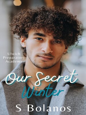 cover image of Our Secret Winter